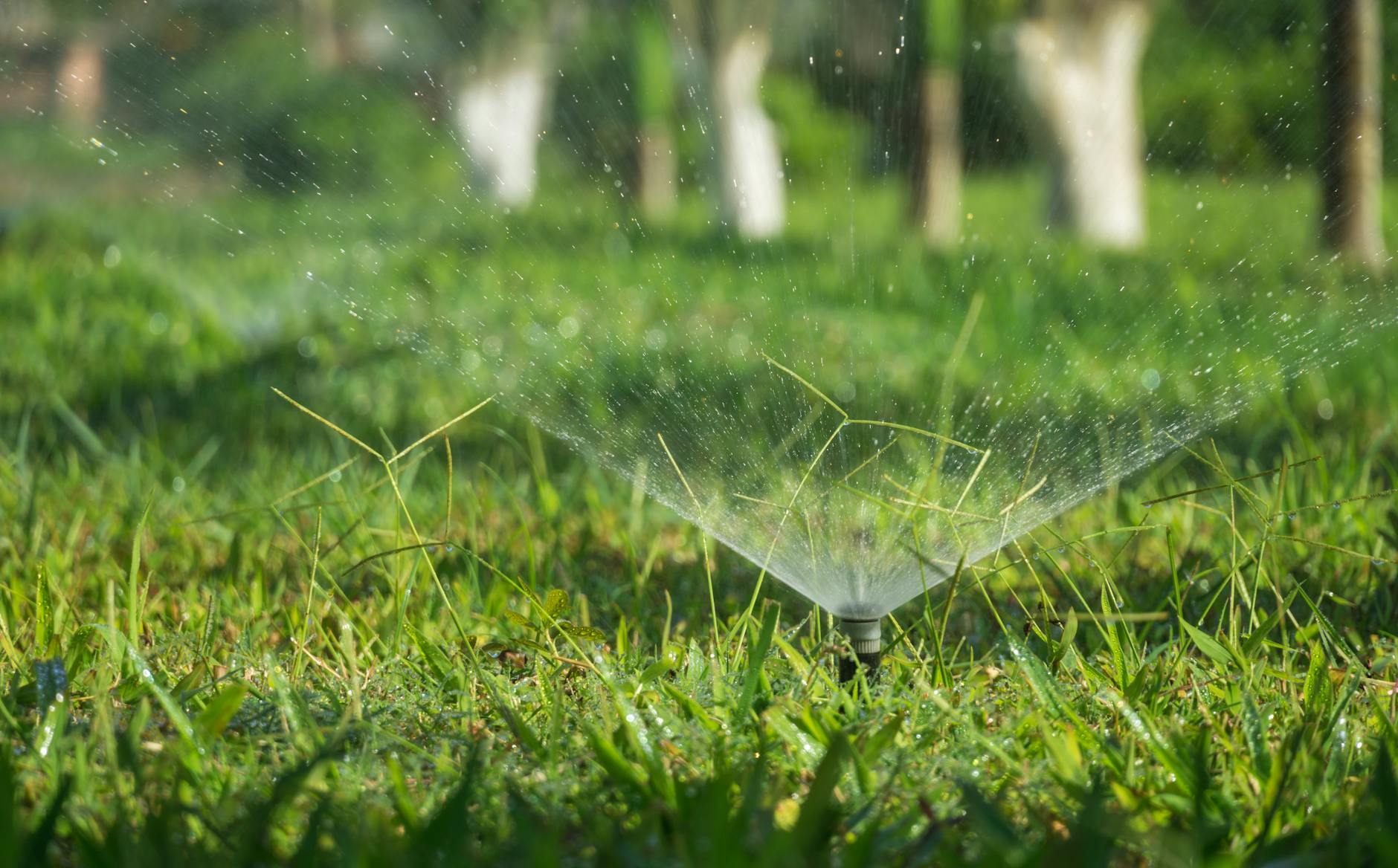 irrigation in lawn